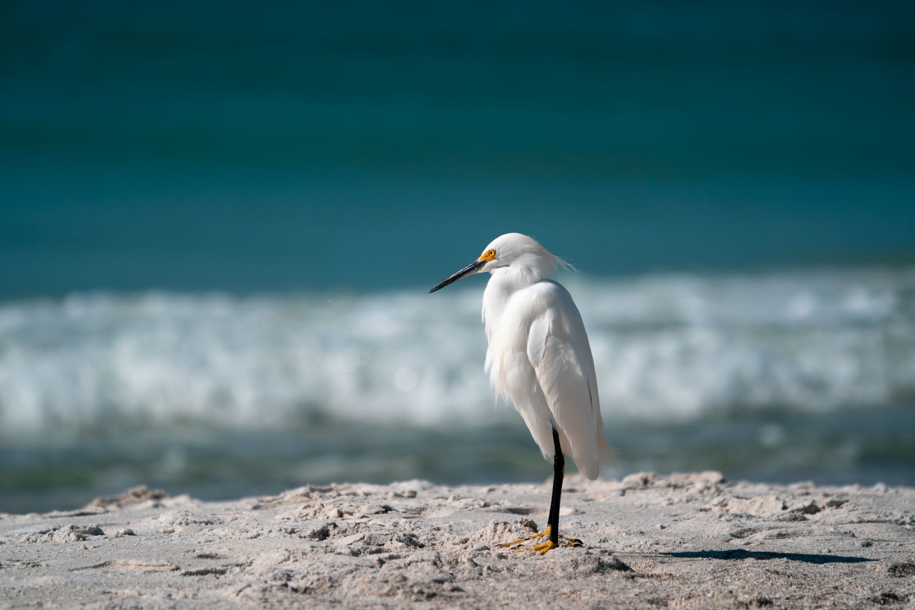 Clearwater Beach