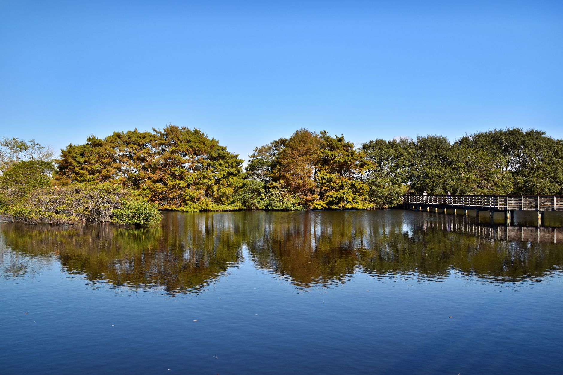 Palm Harbor