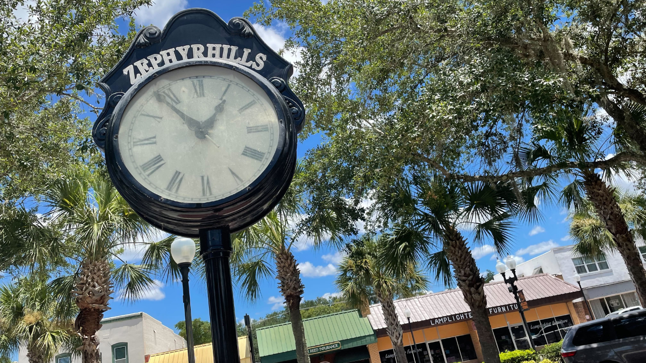 Zephyrhills